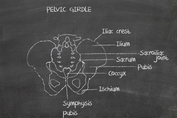 What is a pelvic floor evaluation?