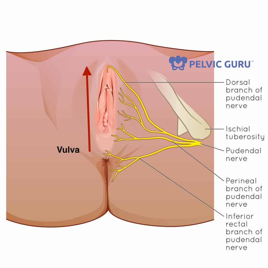 Chronic Vulvar Pain
