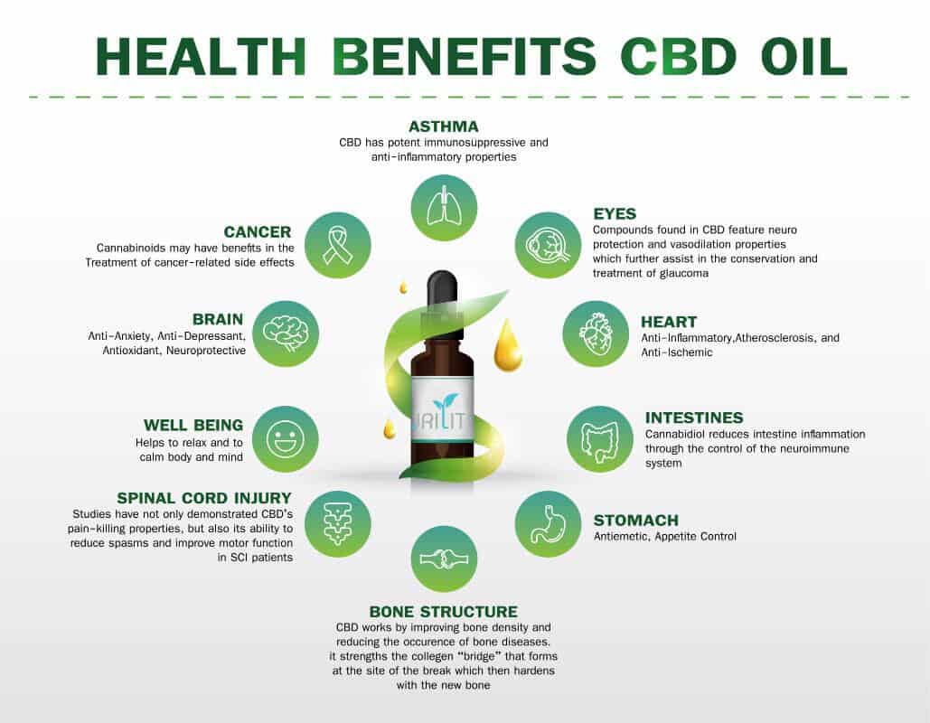 Dr Cbd