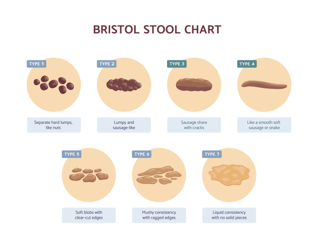 Healthy Poop: Daily Poop Journal | Bowel Movement Health Tracker | Bristol  Type Chart | Food & Stool Log